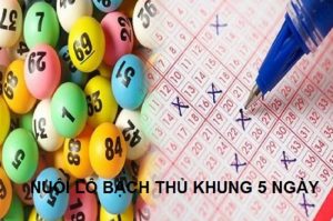 nu&ocirc;i l&ocirc; bạch thủ khung 5 ng&agrave;y